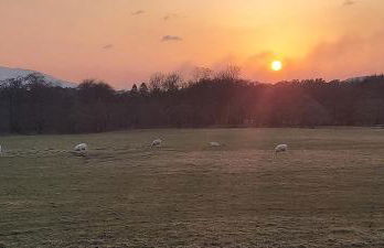 Green Field Cottage at Ardenvale Self Catering - Photo 20