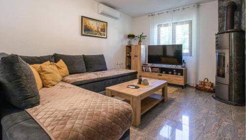 Nice Home In Brestovac With Sauna - Foto 3