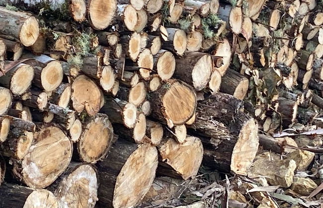 Acolhedor Ranchinho Campestre - Foto 24