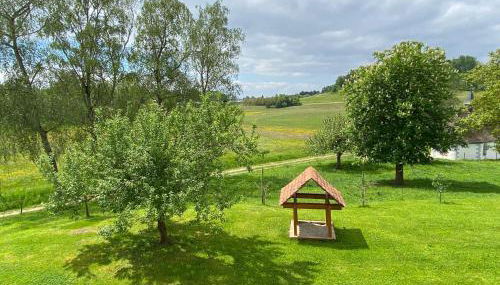 Hofgut Breitenbach - Foto 3, Garden view