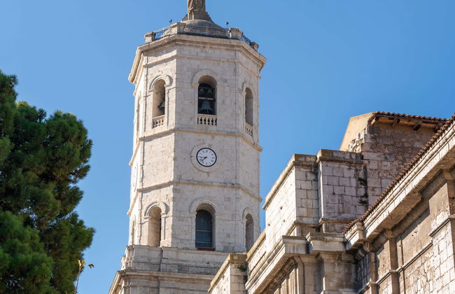 Visita de la Torre de la Catedral - Foto 3