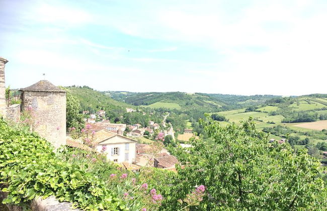 Albi und Cordes sur Ciel Private Tagestour von Toulouse - Foto 3