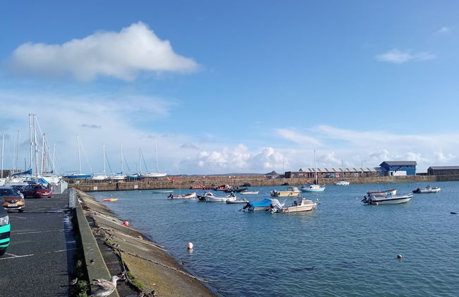 Ground Floor Cornish Retreat and Courtyard Garden - Foto 24