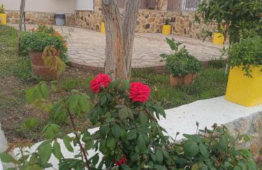 Grandmas Cottage - Photo 57