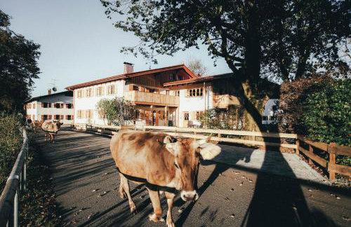 Luna Mia - Apartment 5 - Photo 22