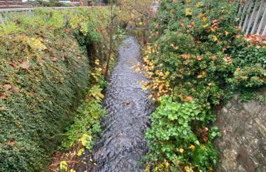 Your Sweet Home 2 Near Frankfurt /Wiesbaden - Photo 8