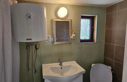 Dom Pod Brzozami Lipinki Bory Tucholskie basen - psy, koty mile widziane! - Photo 29