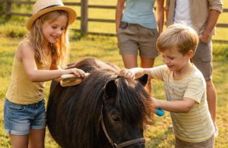 Familienfreundliche große Ferienwohnung mit Pool & Pferden - Spielplatz direkt am Haus - Foto 6