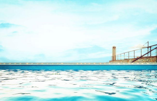 Golden King - Foto 40