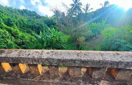 Kapaa Sands 10 - Foto 44