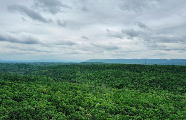 Brigadoon - 5 Bedroom Retreat - Photo 22