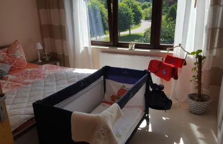 Moderne Komfortwohnung im Kurort am Rennsteig - Foto 11