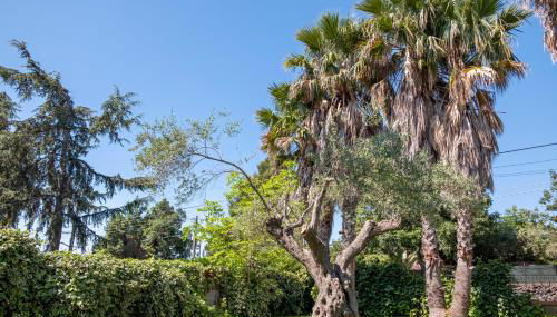 Villa Etna da mare - Foto 3, Garden view