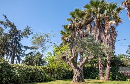 Villa Etna da mare - Foto 3