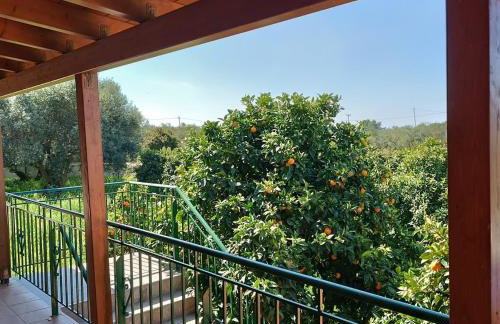 Private villa , 5 min drive from the beach - Foto 24