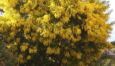 CHAMBRE salle de bains privée Jardin Arboré - Photo 2, Garden
