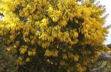 CHAMBRE salle de bains privée Jardin Arboré - Photo 2