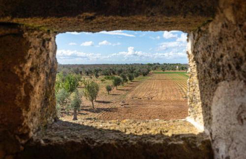 Masseria Tornesella Don Giuliano - Foto 77