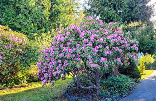 The Sunrise Hideout - Foto 21