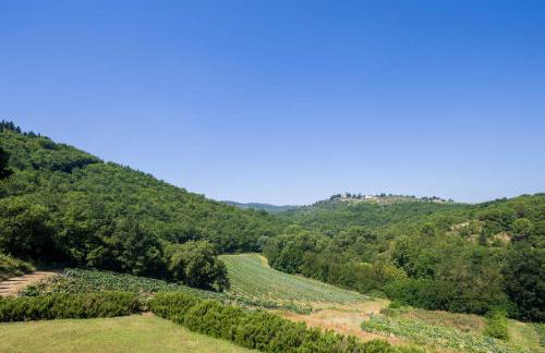 Foresteria Castello di Verrazzano - Foto 20