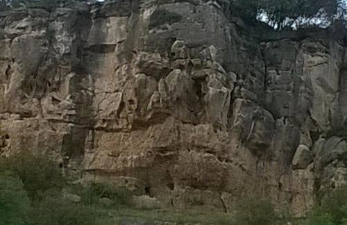 Los Alisos Casa Rural - Foto 65