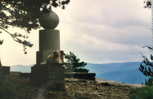 Ferienwohnung Dietlinde - Foto 25