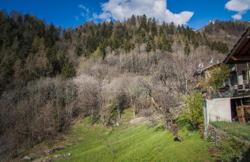 Agriturismo La Clochette - Foto 22