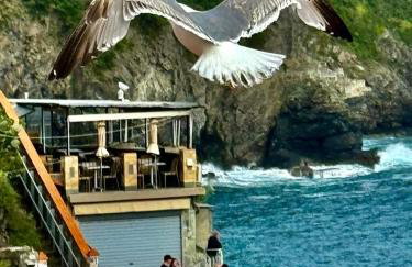 la Chiglia - Foto 19