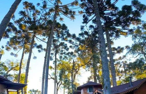 Chalé Temático em Pipa de Vinho - Parada da Pipa Chalés - Foto 55