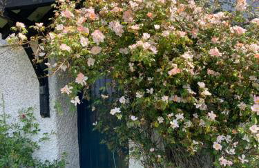 Perthi Uchaf - Foto 37