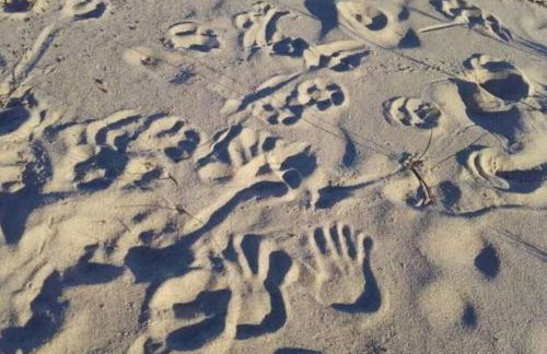 Barton City Lodge - Foto 16