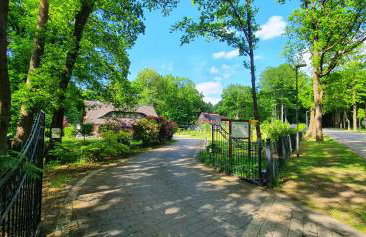 Lüneburger Heide - Ferienwohnung am Höpen - Foto 50