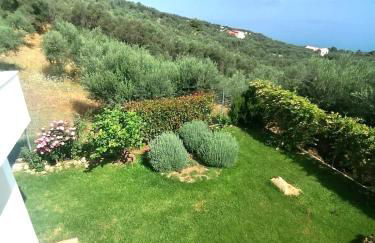 White Hill Platanos - Photo 17