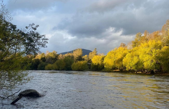 Araucania River Lodge - Photo 30