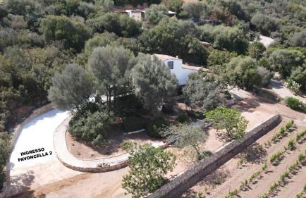 La PAVONCELLA 2 - Foto 24