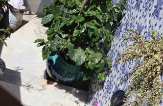 BBA1 Appartement climatisé centre-ville Ferrel - Foto 41