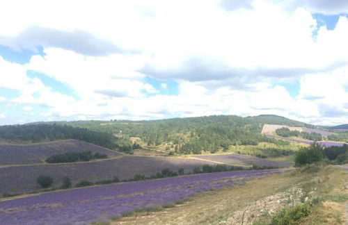 Le Mas des Oliviers - Foto 9