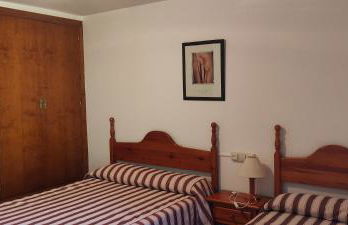 Apartamento Miguel Torla Ordesa - Foto 8