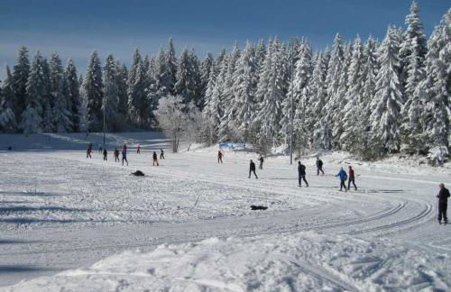 Haus Schönblick - Foto 17