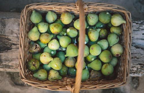 Agroturismo Can Torna AG178 - Photo 51