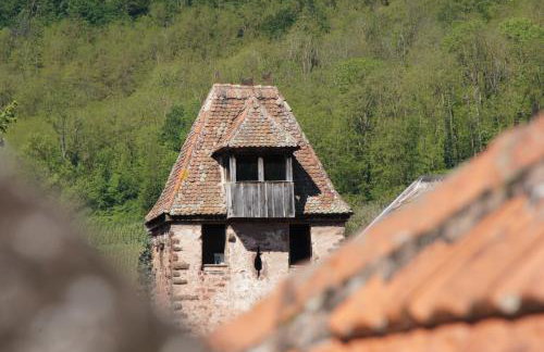 L'Horizon du Vignoble - Foto 41