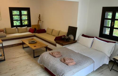 Pelion 7 Lives - Foto 25