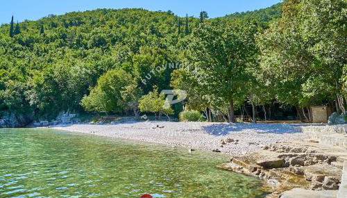 Salty Paws Medveja - Foto 2