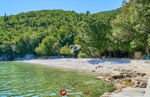 Salty Paws Medveja - Foto 2