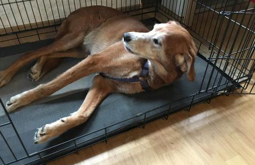 Ferienhaus am Stausee Bitburg - Foto 50