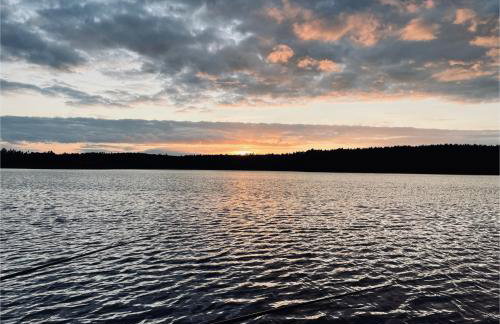 Forest Mood - Foto 68