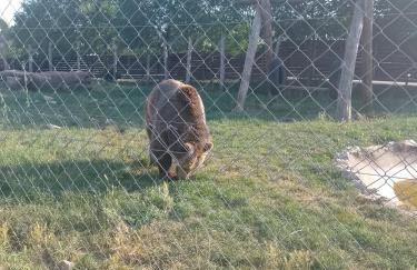 Apartman Djak - Foto 6