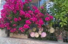 Maria Apartments - Foto 51