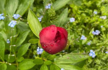 Moulin Grand, entire accommodation, 2br park river - Foto 41