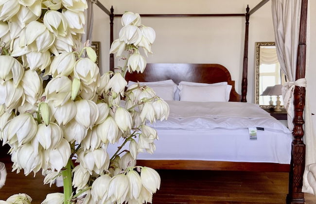 Chateau La Bainerie - Foto 38